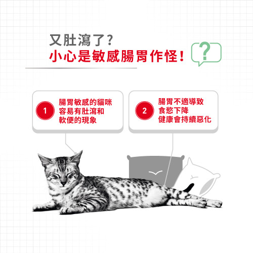 Royal Canin CAT (FCN) Digestive (舊名: Digest Sensitive) Care Adult (Gravy) 加護系列 成貓消化道加護主食濕糧(肉汁) (3104800) 85G X 12 原盒 (原裝行貨) 
